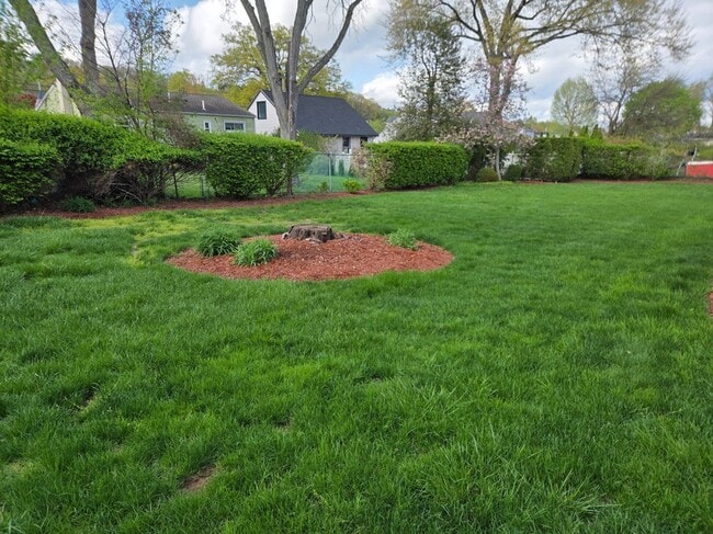 Foto del edificio - 144 Raphael Rd