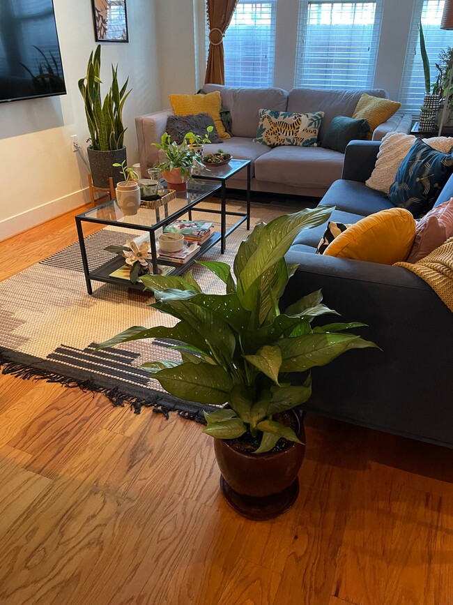 Photo - 2910 Georgia Ave NW Apartment