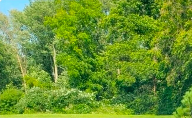 Building Photo - 701 Litchfield St