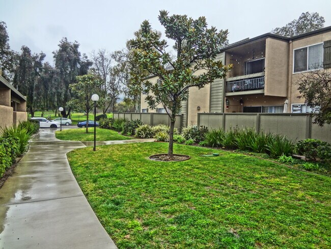 Building Photo - 24431 Trevino Dr