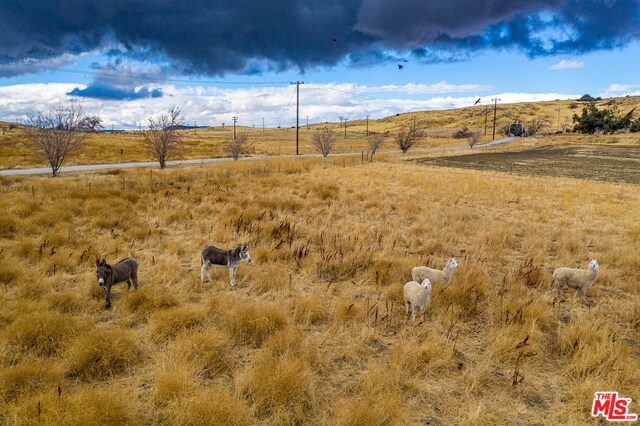 Building Photo - 13136 Elizabeth Lake Rd