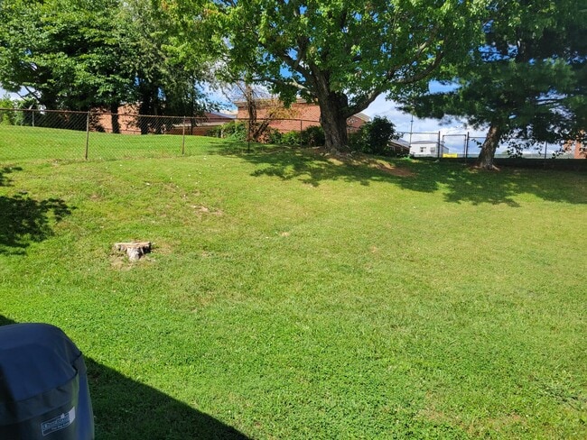 back yard - 508 Longview Dr