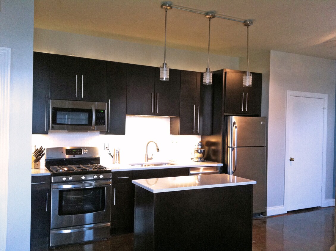 Beautiful, modern kitchen - 509 Delaware Street