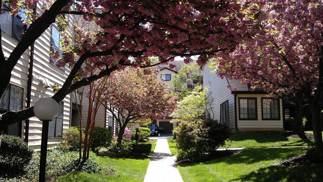 1627 Carriage House Ter, Silver Spring, MD 20904 Condo for Rent in Silver Spring, MD