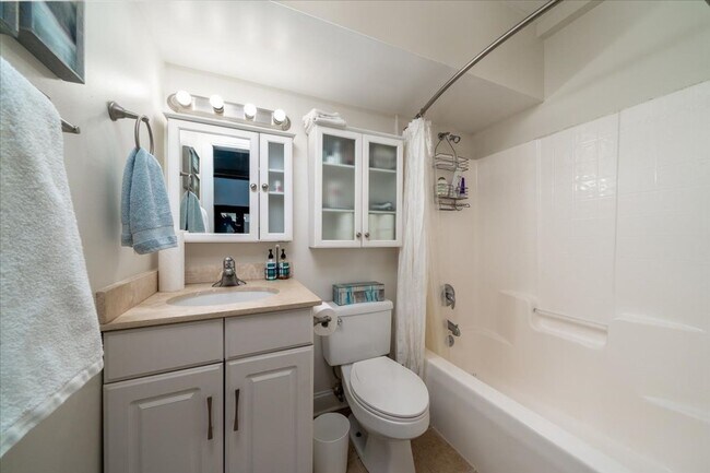 Foto del edificio - Fully Furnished Downtown Rental Available June 1st!!!