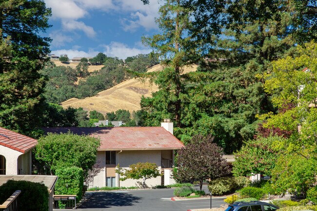 Building Photo - 4021 Terra Granada Dr