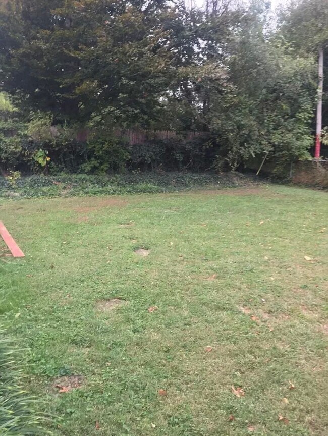 Foto del edificio - 3008 Betty Ln