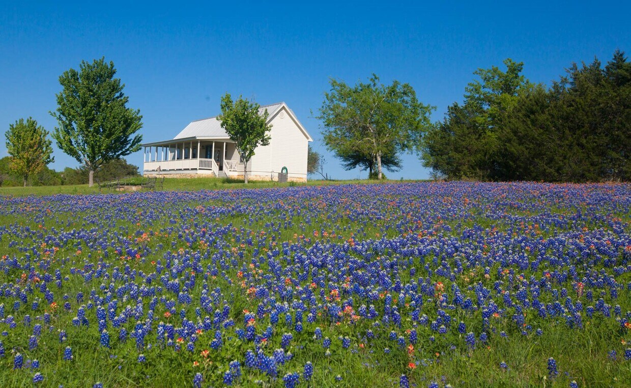 Primary Photo - 3831 Meadow View Ln