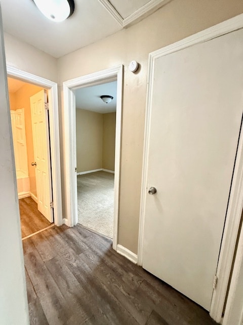 Foto del edificio - 327 Ash St NW