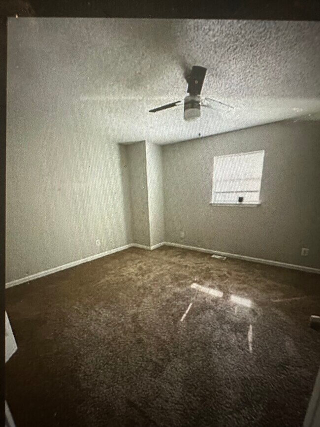 Spacious bedrooms - 113 Lindevon Ln