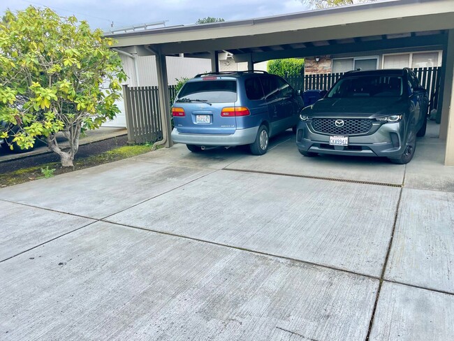 Foto del edificio - Charming lower level of home