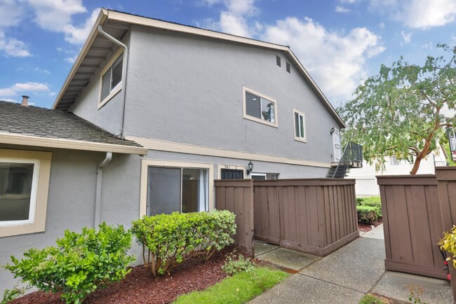 Building Photo - 341 San Petra Ct