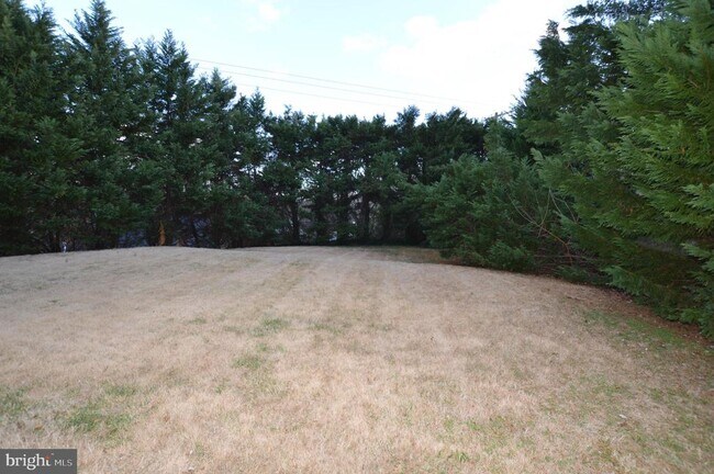 Building Photo - 2713 Bartlett Ln