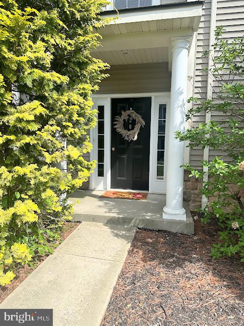 203 Springmont Dr  