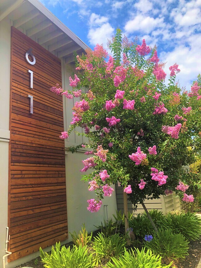 Foto del edificio - 611 San Luisito Way