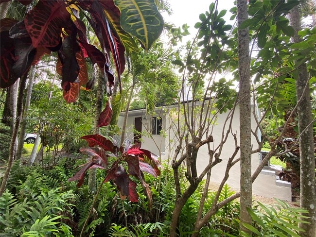 Building Photo - 350 Hibiscus Dr