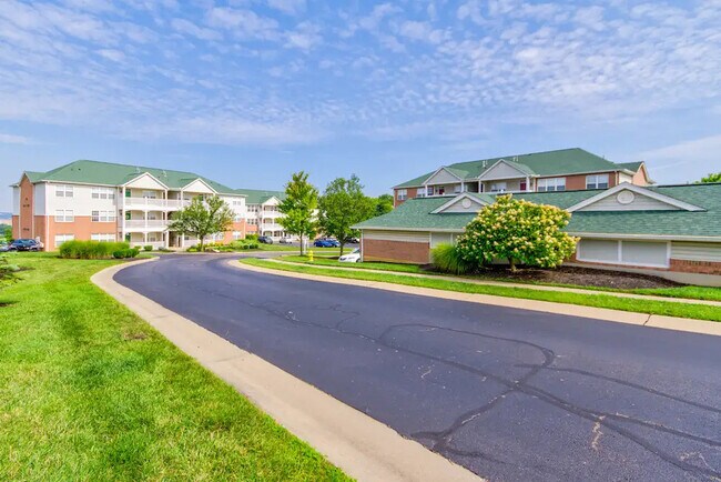 Camino de Aspen Pines - Aspen Pines Apartment Homes