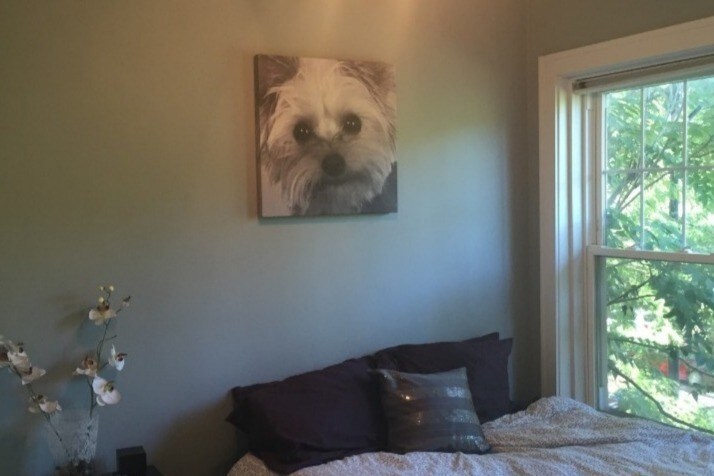 Foto principal - 4422 N Ashland Ave