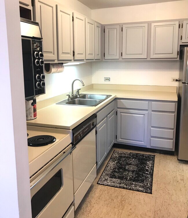 899 S Plymouth Ct Unit 306, Chicago, IL 60605 Condo for Rent in