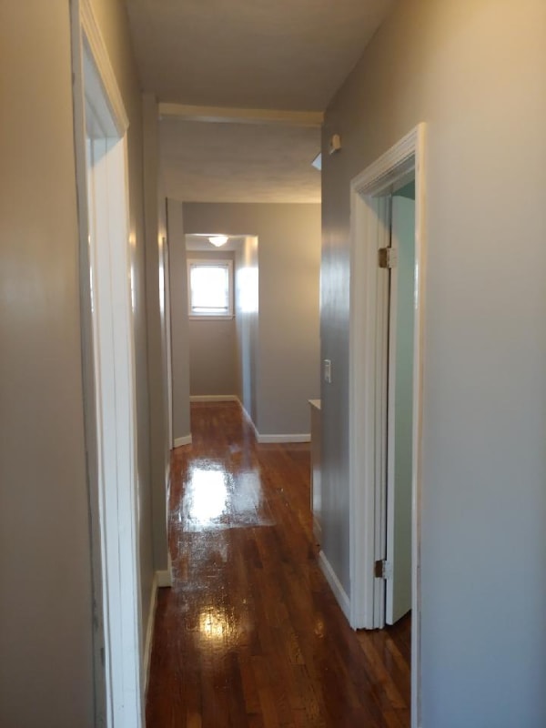 Photo - 7 Winchester St Apartment