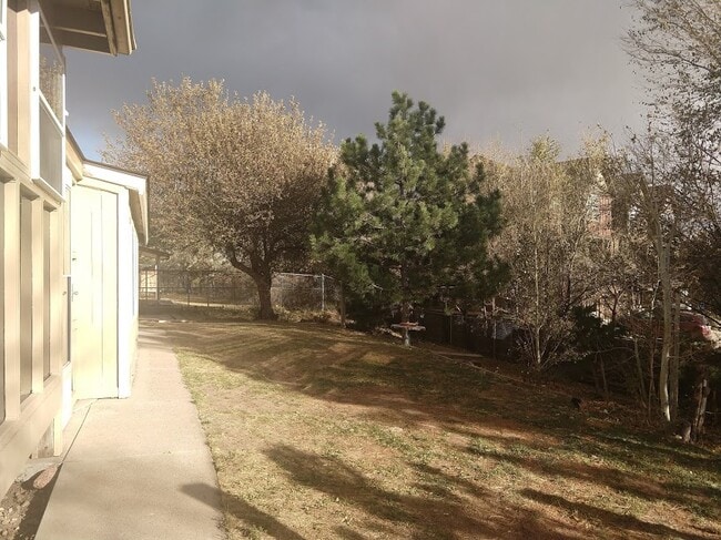 Back yard - 1327 Darby St