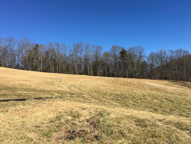 Building Photo - 70 Wade Lee Drive-Apple Country Home