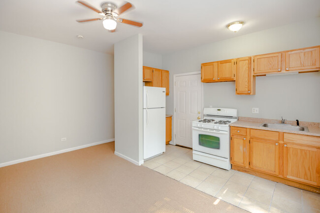 Building Photo - Studio Apartment in Bronzeville - Recently...