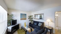 This single-story space presents a welcoming living room that serves as its central gathering area. The room features light-toned walls and smooth ceilings that lend an open, airy quality to the interior. Carpeted flooring in a neutral hue runs throughout, adding warmth underfoot.

The living room is furnished with a set of navy blue sofas and a matching armchair, accented with patterned throw pillows in blue and yellow tones. A rectangular dark-wood coffee table anchors the seating arrangement atop a green area rug, adding a layer of visual contrast. A low-profile media console on the opposite wall houses a flat-screen television, providing a functional entertainment setup.

Decorative touches enhance the room's character, including a framed mirror with a mosaic-style border mounted on one wall, a colorful canvas artwork featuring a golden tree, and tall indoor plants that introduce a natural, organic element. A floor lamp in the corner provides ambient lighting. The overall ambiance is casual yet thoughtfully arranged, offering a comfortable and inviting atmosphere suitable for everyday living.