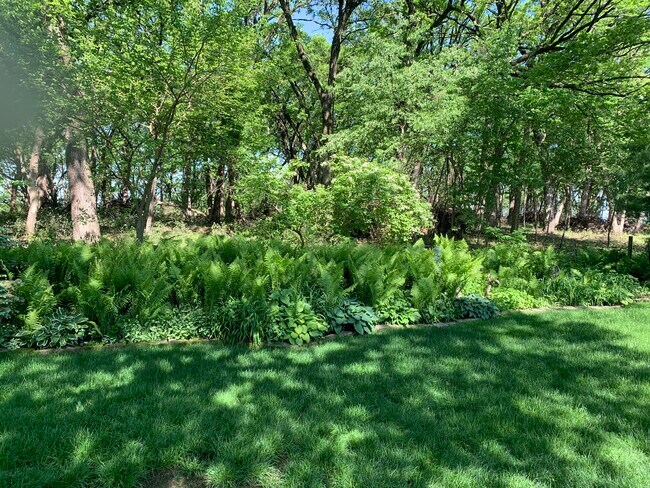 Patio interior - 2714 Wentworth Dr