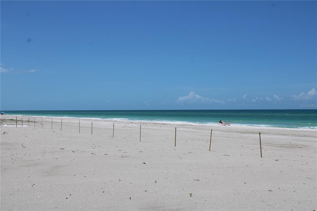 Foto principal - 3810 Gulf of Mexico Dr