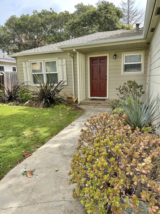 Front Walk - 2411 Casa Bona Ave