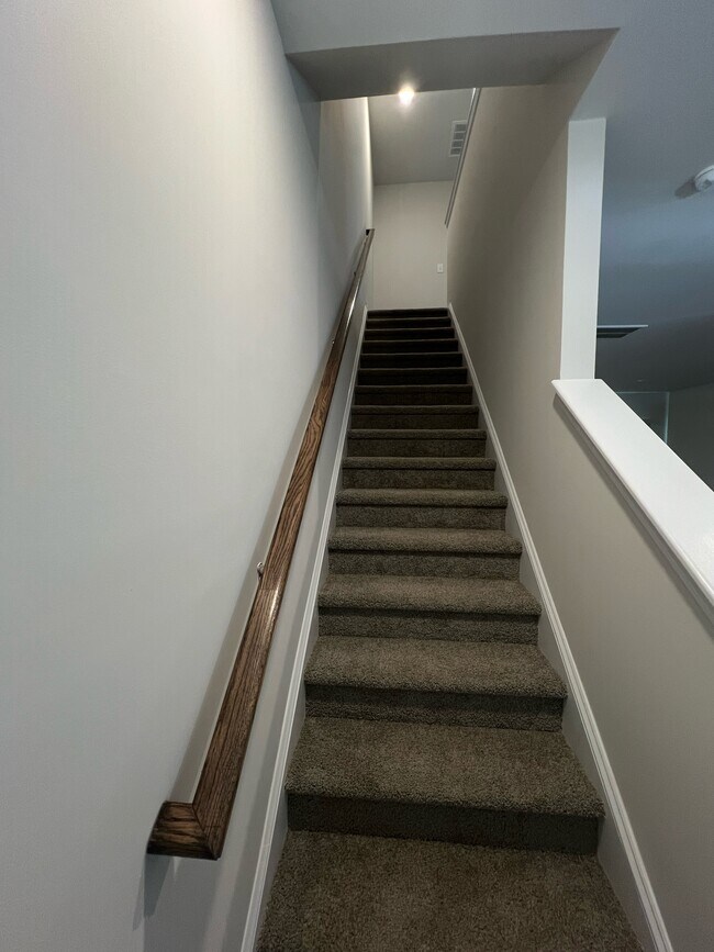 Foto del edificio - 903 Drake Grove Ln