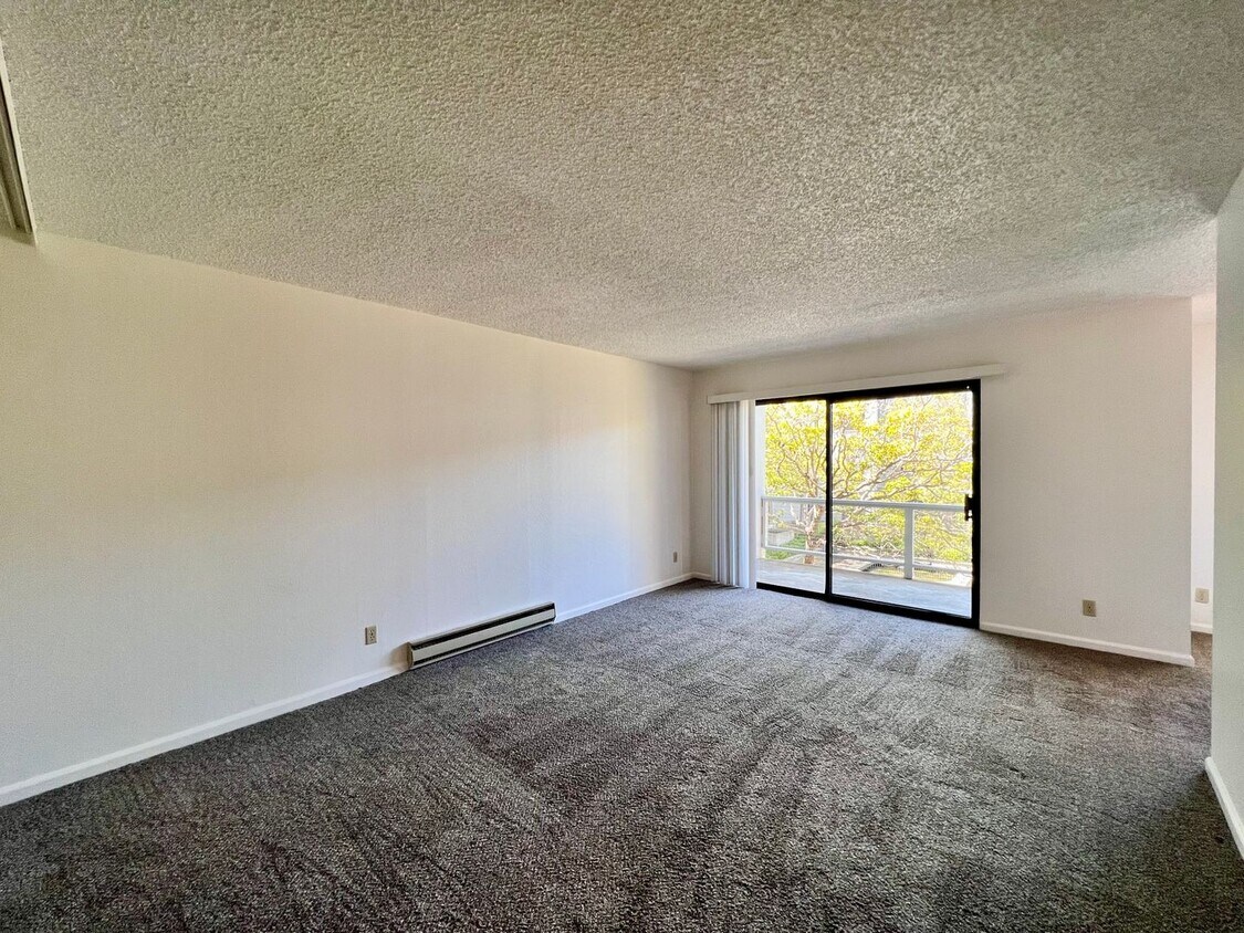 Primary Photo - Large sunny 1 bedroom with lush courtyard ...