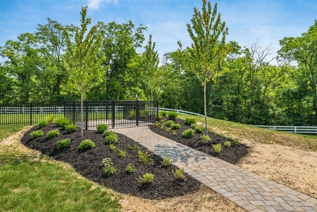 Interior Photo - Ravines at Rocky Ridge