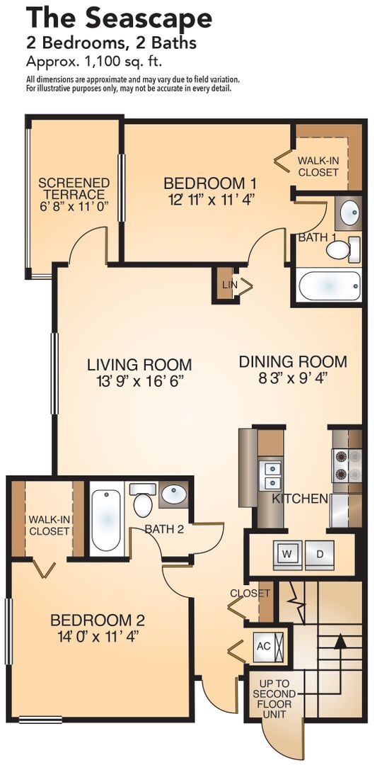 Interior Photo - Coral Falls