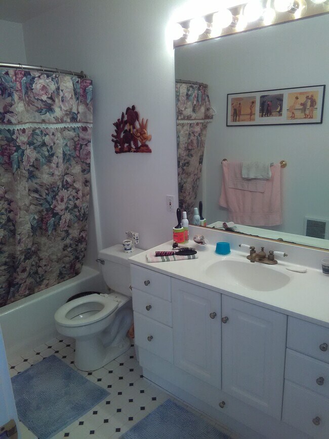 Baño - 1209 S Downing St