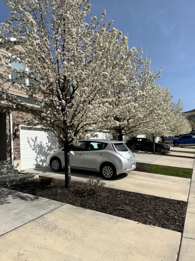 Foto del edificio - 4107 Fremont Dr