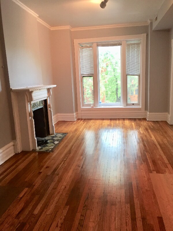 Primary Photo - 2243 N Bissell St