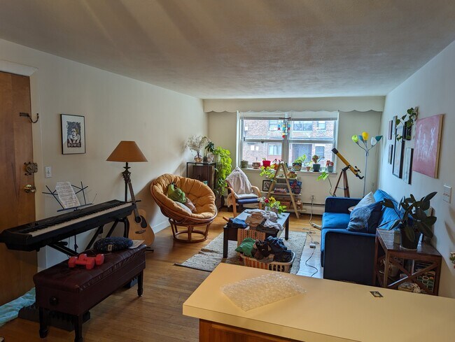 Building Photo - 15 Commonwealth Ct