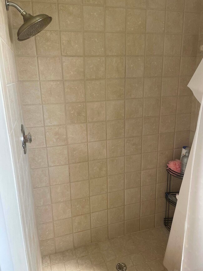 ducha del baño principal - 2616 Woodgate Ln