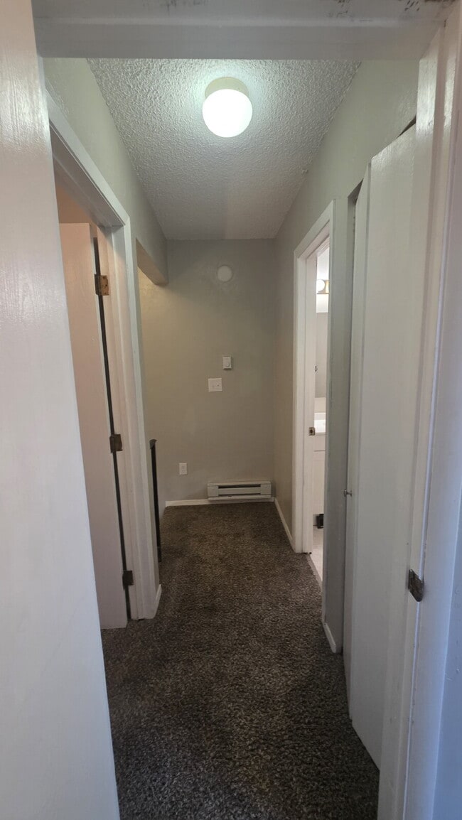 Photo - 2 Bed- 1 Bath on Darby West Side Apartment
