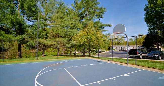 Basketball Court - Hampton Creek