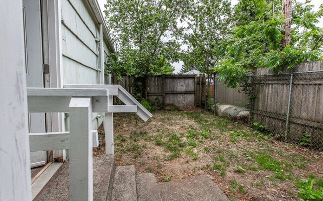 Back yard - 230 Baxter St