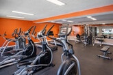 Located at 901 S Harbor Blvd in Santa Ana, California, this fitness center is a well-equipped, single-floor facility designed to support a comprehensive workout experience. The space is defined by bold, energizing orange accent walls paired with neutral tones, rubber flooring throughout, and bright flush-mounted ceiling panels that ensure consistent, even illumination across the entire floor.

The gym is organized into distinct workout zones. The cardio area features multiple treadmills, elliptical trainers, and a stationary recumbent bike, with a row of ellipticals positioned along a windowed wall that provides views of the surrounding outdoor area, bringing in natural light. A wall-mounted flat-screen television is available for entertainment during workouts.

The strength training section includes a multi-station cable and weight machine suitable for a variety of resistance exercises, along with a dedicated free weights area stocked with a full rack of dumbbells. A weight bench is also available for targeted exercises.

The facility is further enhanced by a full-length wall mirror that visually expands the space and allows for form monitoring. Practical amenities include a paper towel dispenser, hand sanitizer station, and a bulletin board near the entrance, promoting cleanliness and community communication. The motivational phrase "Everyday is a great day to work out" is displayed prominently on the wall, reinforcing the active atmosphere of this well-maintained fitness space.