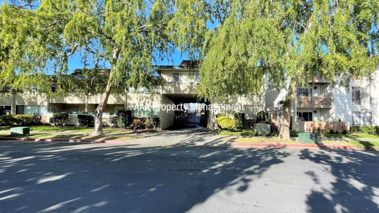 Primary Photo - Concord Beautiful remodeled 1 bedroom 1 ba...