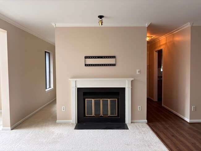 Fireplace - 2807 Lee Oaks Ct