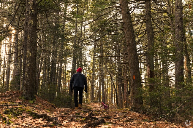 Purgatory Chasm State Reservation is exceptional year-round for long hikes.