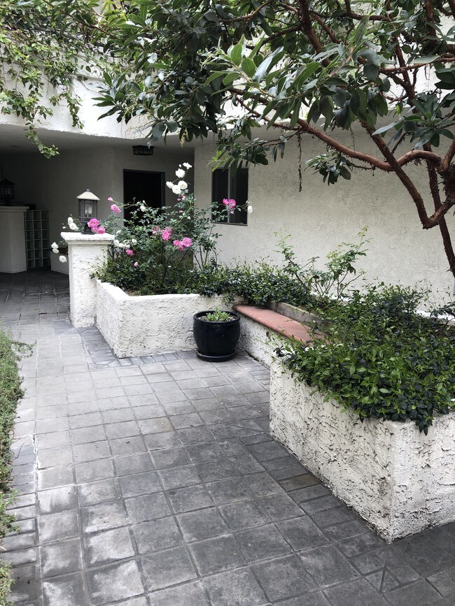 Main walkway - 1741 Granville Ave