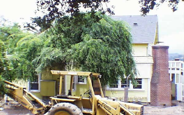 Foto del edificio - 75 Monterey Rd