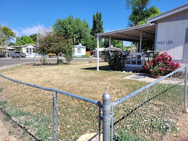 Yard - 1433 Leo Ave